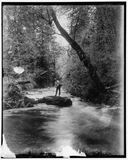 Where trout leap. Vancouver Island, B.C. One of the mountain streams in which trout furnish sport for fishermen and tourists who stop for a few hours casting, 6/10/36