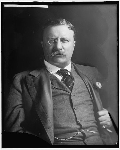 ROOSEVELT, THEODORE