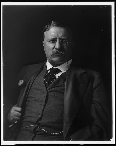 ROOSEVELT, THEODORE