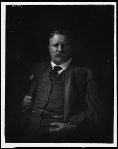 ROOSEVELT, THEODORE