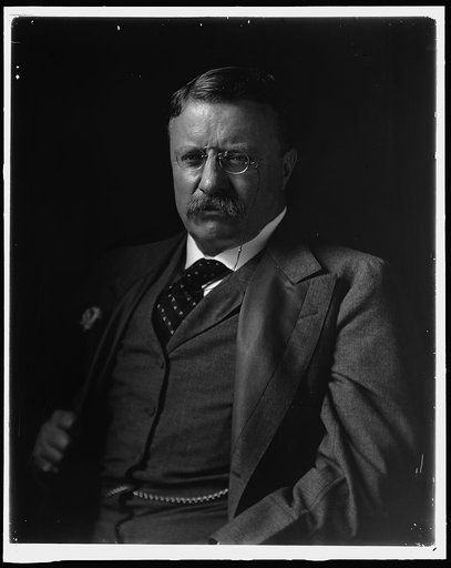 ROOSEVELT, THEODORE