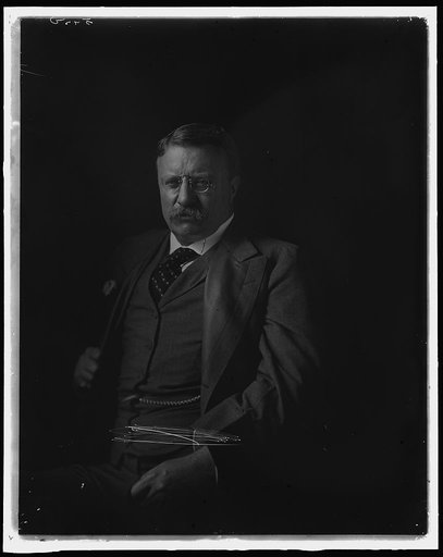 ROOSEVELT, THEODORE