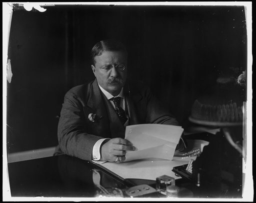 ROOSEVELT, THEODORE