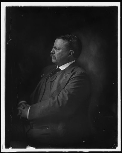 ROOSEVELT, THEODORE