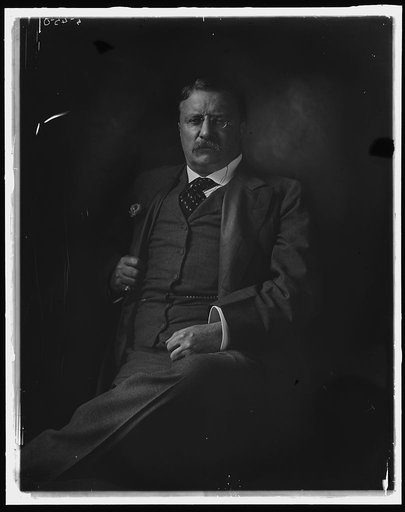 ROOSEVELT, THEODORE