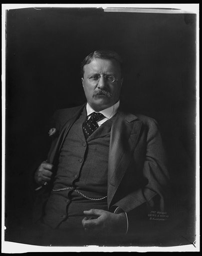 ROOSEVELT, THEODORE