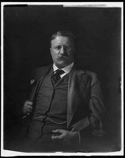 ROOSEVELT, THEODORE