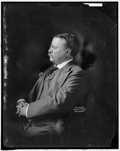 ROOSEVELT, THEODORE