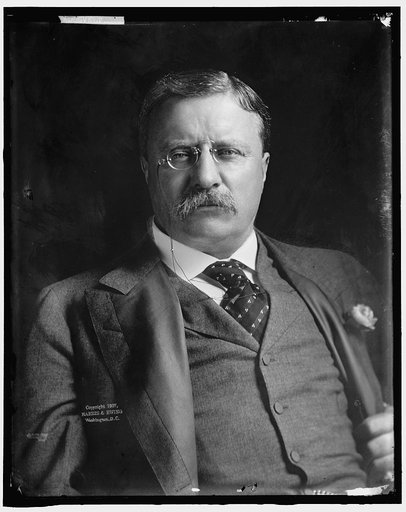 ROOSEVELT, THEODORE