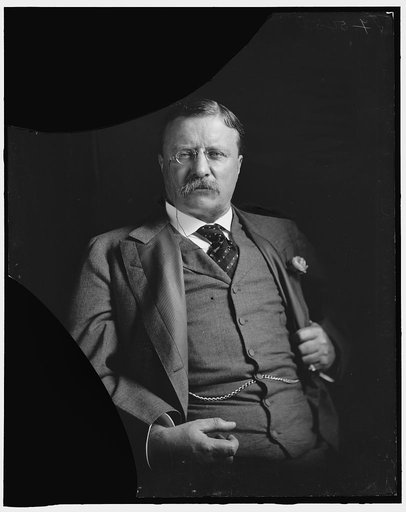 ROOSEVELT, THEODORE