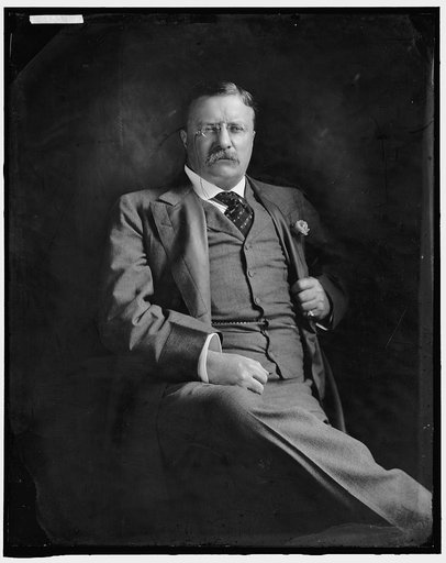 ROOSEVELT, THEODORE