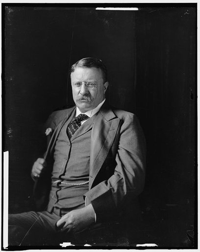ROOSEVELT, THEODORE
