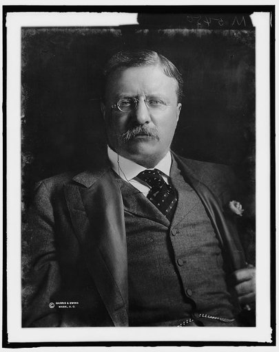 ROOSEVELT, THEODORE