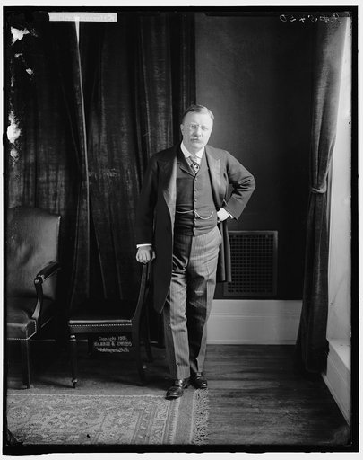 ROOSEVELT, THEODORE