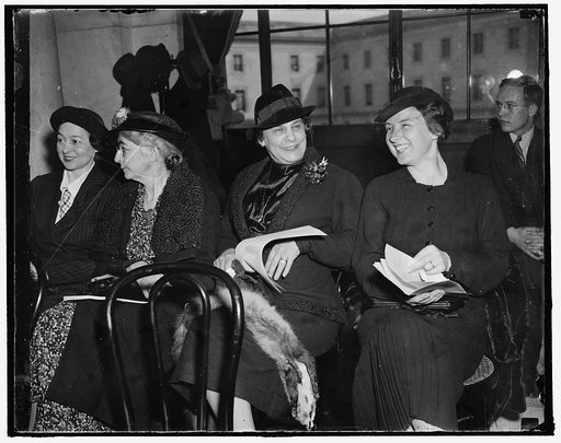 The females seem to be in the [...] Washington, D.C., Mar. 25. At the Senate Judiciary hearing today at the Capitol were left to right: Mrs. W.R. Harris of Dallas, Tex. and Mrs. William Gibbs McAdoo, wife of Senator McAdoo of California