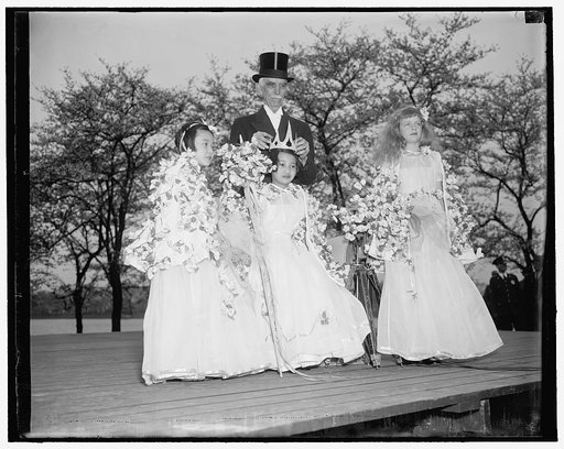 Crowned Queen of Cherry Blossoms. Washington, D.C., April 8. A colorful ceremony which attracted thousands of visitors to the Capital, little Sakiko Saito, daughter of the Japanese Ambassador and Mme. Saito, was crowned Queen of the Cherry Blossoms by Melvin Hazen, Commissioner of the District of Co