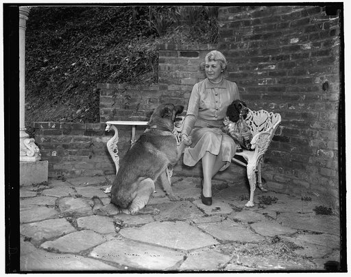 America's new envoy to Norway. Washington, D.C., April 21. A shrewd politician and a social leader as well, Mrs. J. Borden Harriman is expected to prove a popular envoy to Norway to which post she has just been named by President Roosevelt. Mrs. Harriman is the widow of J. Borden Harriman, New York 