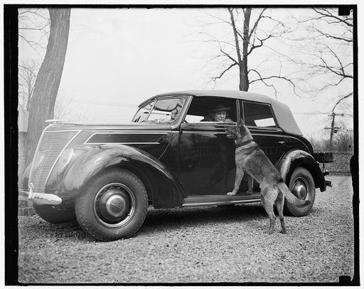 New U.S. Envoy to Norway. Washington, D.C., April 21. America's new Envoy to Norway, Mrs. J. Borden Harriman, leaving her home "Uplands" today for the offices of the Democratic National Committee of which she is a member. Mrs. Harriman, who is expected to leave for post shortly, is shown with her fa