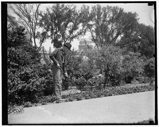 Congressional Gardener at hobby. Washington, D.C., May 7. Rep. William R. Poage, a first term Texas Democrat, likes gardening. He couldn't find a plot of ground in the crowded capital, so he used his newly acquired congressional influence and won permission to help tend flowers and shrubbery in the 
