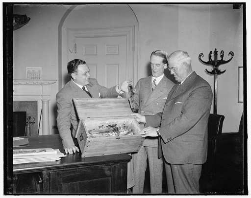 Trout flown to President Roosevelt. Washington, D.C., May 21. Erdorn W. Wood, 57 year old sportsman went to Mystery Pond, New Hampshire, swished 29 trout from its 75-foot dept and started to Washington and President Roosevelt with the catch. His newly constructed glass-bottomed boat drifted on the p