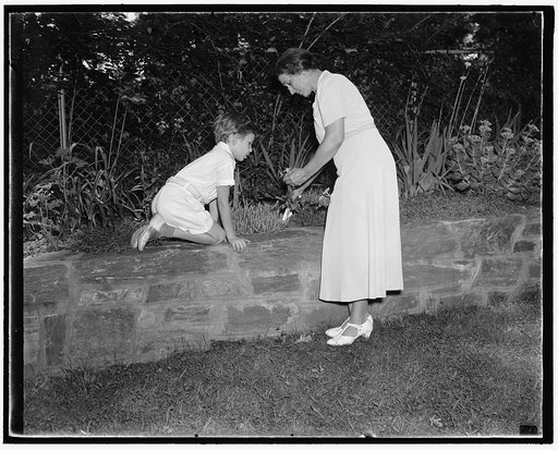 Gardening is Hobby of New Senate Majority Leader's wife. Washington D.C. July 27. Despite her many social duties as the wife of the Senate Majority Leader, Mrs Alben W. Barkley still finds time for her pet hobby. the growing of flowers. She is shown in the garden of her Washington home with her youn