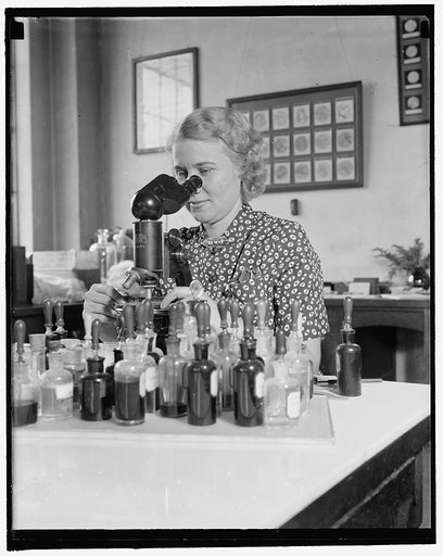 Sees that Uncle Sam gets value in purchases. Washington, D.C., Sept. 28. Miss Mary L. Rollins is responsible for seeing that the government gets value received for every dollar expended for paper and materials containing textile fibers. As fiber technologist of the National Bureau of Standards, she 