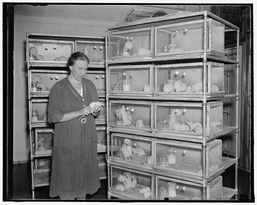 Dr. Hazel Munsell, Dept. Agr.