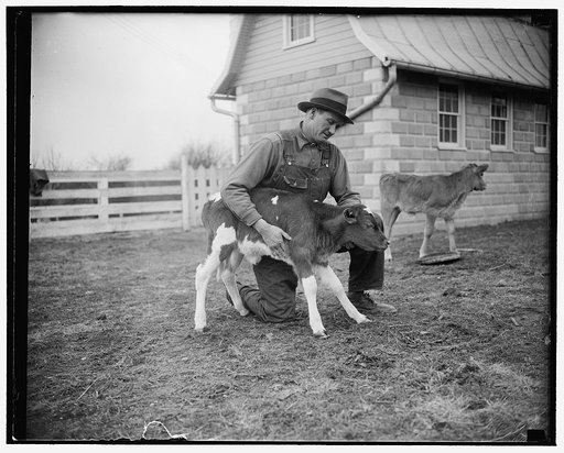 Walter Johnson