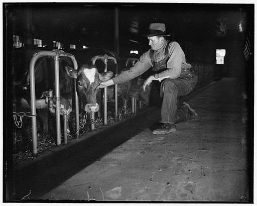 Walter Johnson