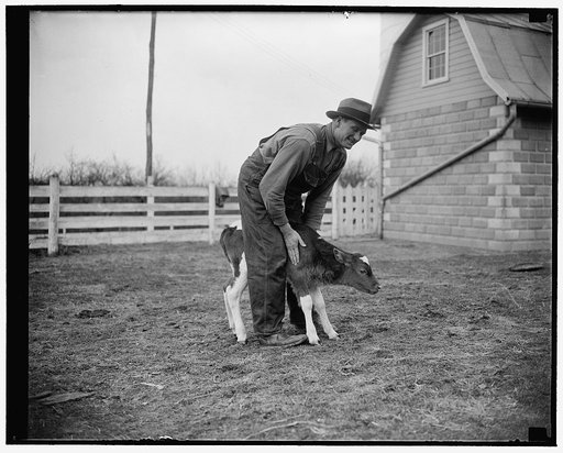 Walter Johnson