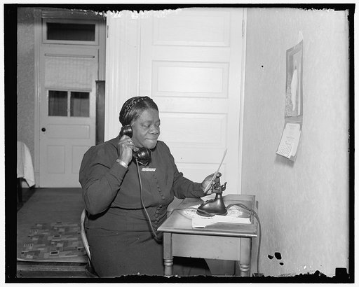 Mary Bethune, Chief of the Negro Section NYA