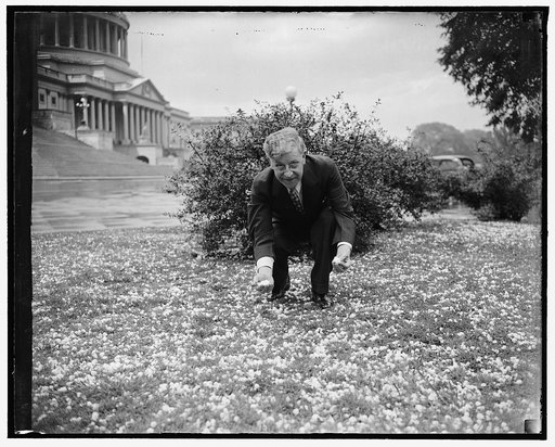 Rep. Patrick Boland of Pa., house whip, inspects hail storm, 4/29/38