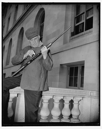 It won't be long now! Washington, D.C., June 14. With congress due to adjourn this week, Senator Tom Connally of Texas, just couldn't resist the urge to check his guns in preparation for a hunting trip in his native state during the reccess. The cameramen snapped the solon as he was about to take a 