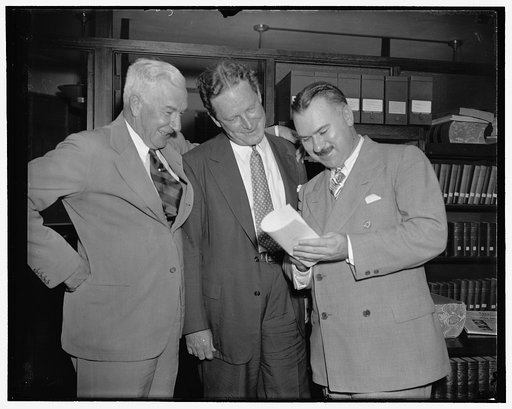 Henry P. Fletcher, John Hamilton, Franklyn Waltman