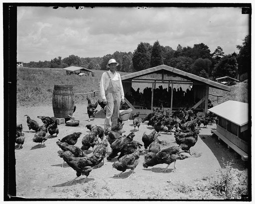 Sam Rice, former Washington ball player on his farm