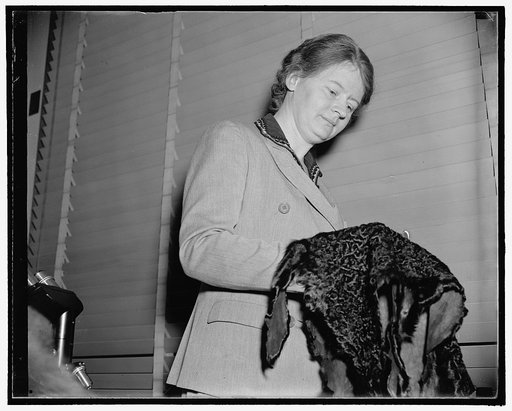 More furs for the modern woman. Washington, D.C., Nov. 2. Dr. Thora M. Plitt, formerly with the Bureau of Standards and now with the Dept. of Agriculture starts research work at the Agriculture Dept. today, because current fashions are demanding more and more furs, despite a diminishing supply of wi