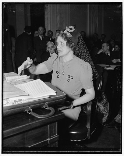 Assails all liberals as she opposes Frankfurter before Senate Committee. Washington, D.C., Jan. 11. Assailing all liberals, including the Roosevelt family, before the Senate Judiciary Subcommittee today, Mrs. Elizabeth Dilling, author of the Anti-Communist Volume"The Red Network," gave a regular sho