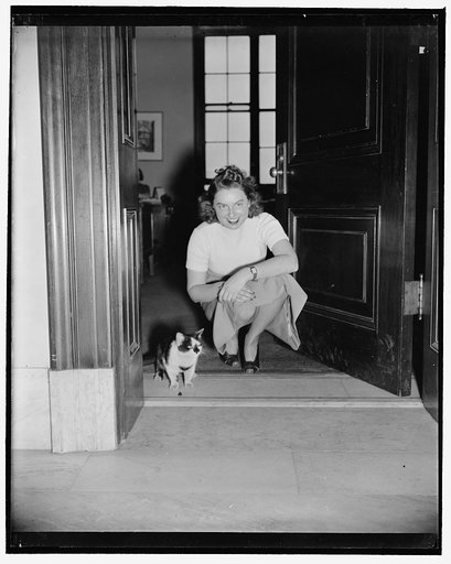 Rosalie Sutton, Assistant Secretary of Senator Claude Pepper of Florida. The cat wandered into the Senate office building