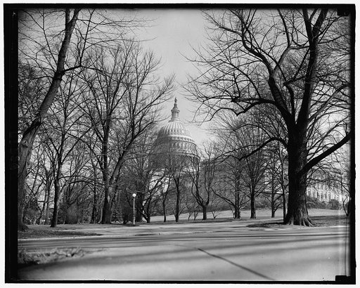U.S. Capitol