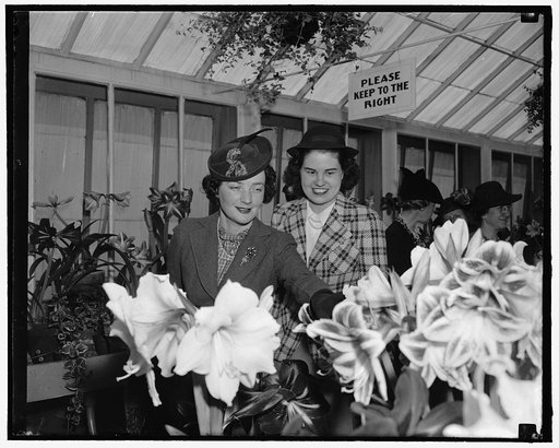 View amaryllis show. Washington, D.C., March 28. Among today's visitors at the Amaryllis Show staged by the Department of Agriculture were Senora Felipe A. Espil, left, wife of the Argentine Ambassador, and Jean Wallace, daughter of the Secretary of Agriculture and Mrs. Henry A. Wallace. 3-28-39