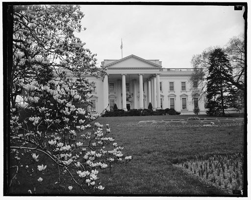 Springtime at White House. Washington, D.C., March 28. A springtime picture of the White House, showing the Magnolia Blossoms on the left. Thousands of visitors visit the Executive mansion at this time of year. 3-28-39