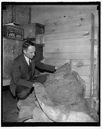 A fragment of largest shooting star placed in Smithsonian Institution. Washington, D.C., April 4. This 2,000 pound meteorite, probably a fragment of one of the largest shooting stars which have struck the earth, has been added to the meteorite collection of the Smithsonian Institution. It was found 