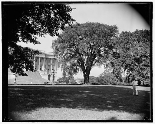 U.S. Capitol grounds
