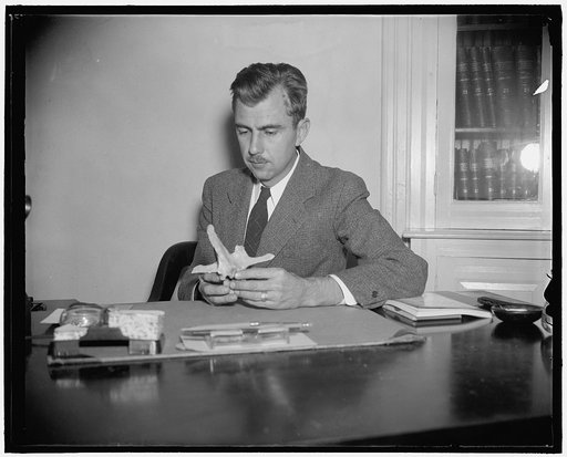 America's lost link found. Washington, D.C., Oct. 14. Dr. Julian H. Steward, archeologist of the Smithsonian Institution, has just brought to Washington a skeleton of an infant which he discovered in a cave near Great Salt Lake, and which he believes will provide science with a missing link in the s