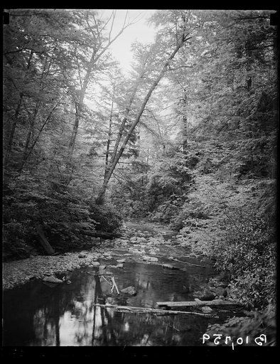 Buck Hill Falls, PA