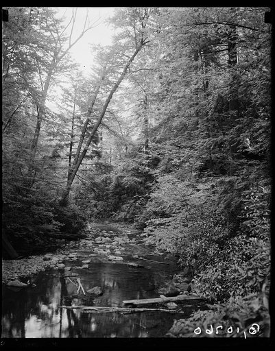 Buck Hill Falls, PA
