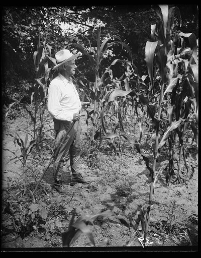 Farmer?