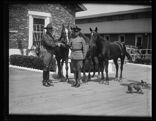 Military men with horses