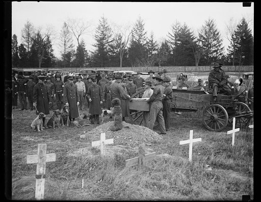 Finnigan buried with military rites. The photograph shows one of the sad scenes at the funeral of Aloysius Smith Neff Finnigan, buried with military honors at Fort Myer, Va. Finnegan, in case you don't know who he was, was mascot of the guardhouse at Fort Myer. He left a colonel's home six years ago