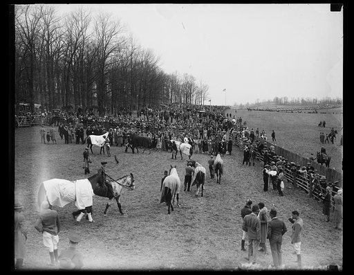 Outdoor event with horses